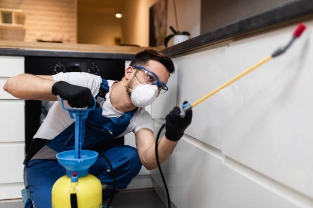 Best Pest Control Treatment  in Grandyle Village, NY