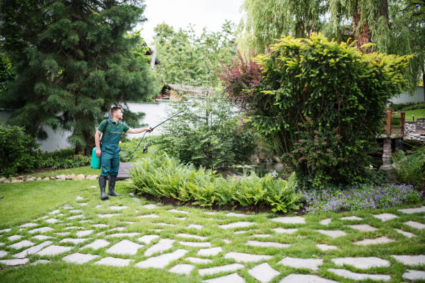 Best Best Pest Control Companies  in Grandyle Village, NY