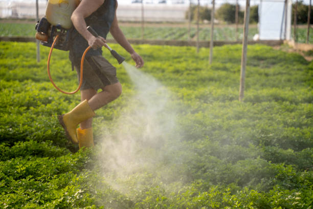 Best Affordable Pest Control Services  in Grandyle Village, NY