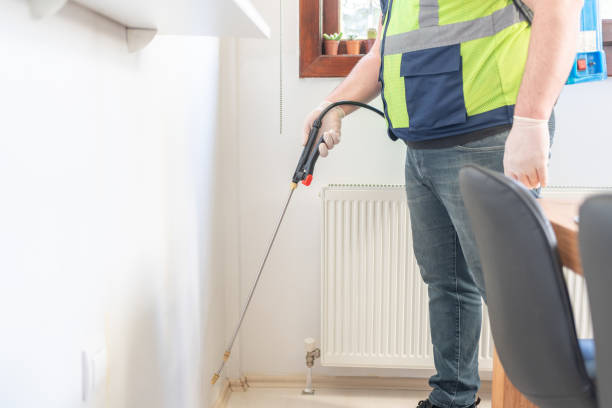 Flea Control Services in Grandyle Village, NY