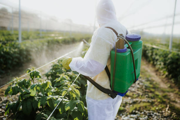 Best Best Pest Control Companies  in Grandyle Village, NY